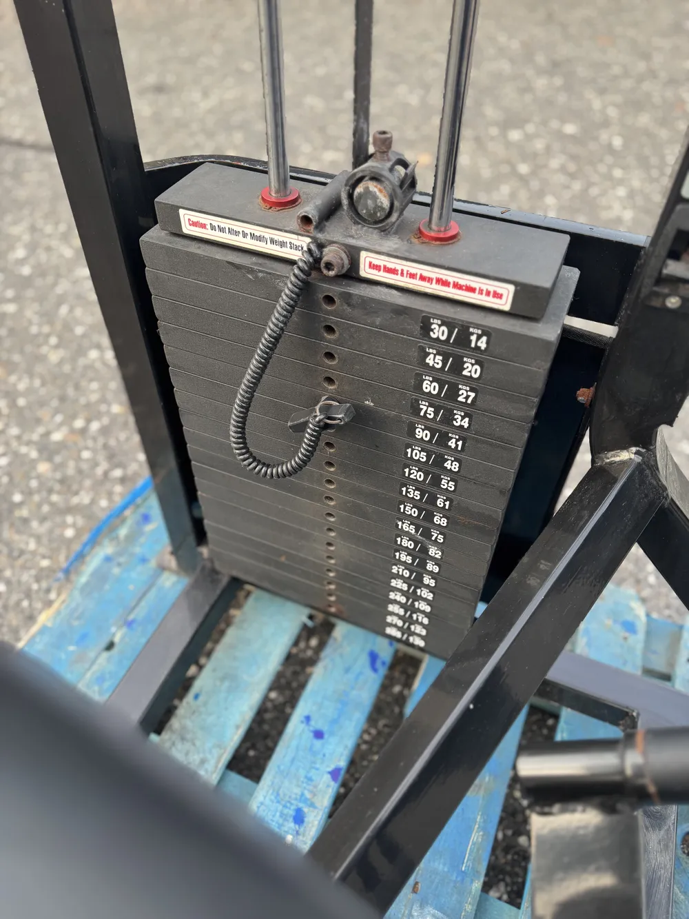 Flex Fitness Leg Extension thumbnail 3