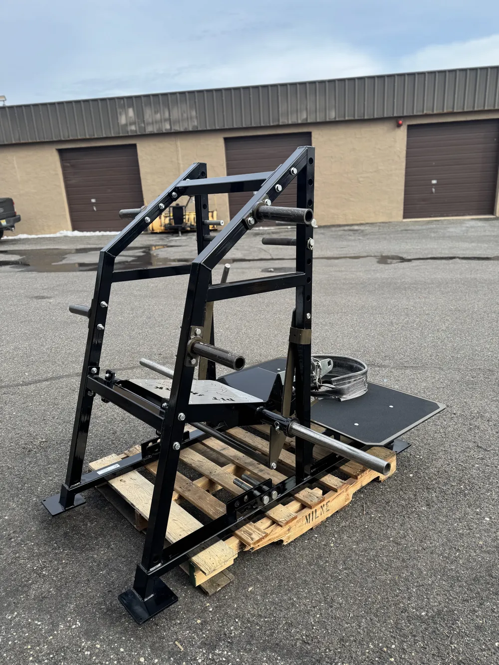 Rogers Pitshark thumbnail 4