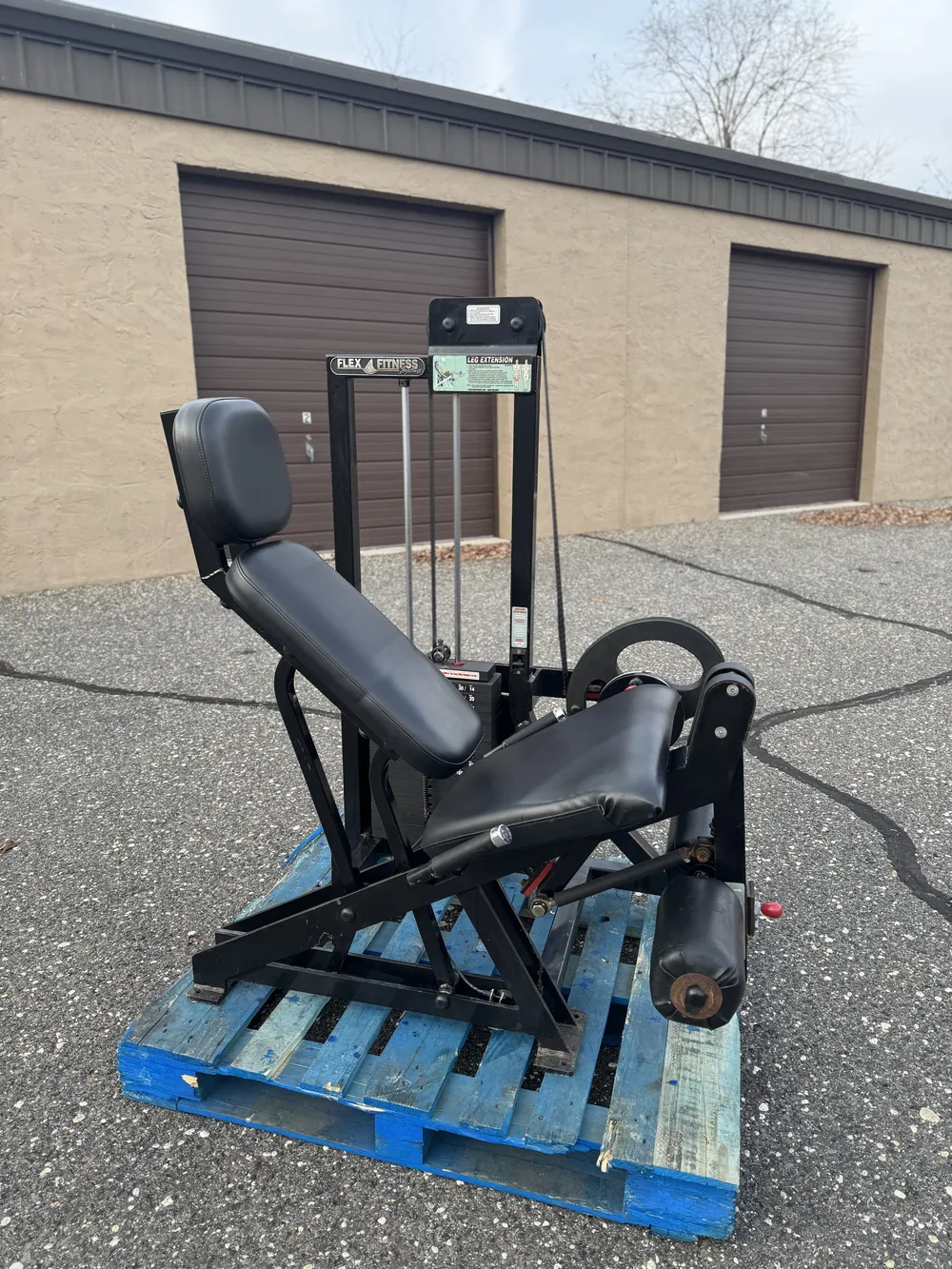 Flex Fitness Leg Extension