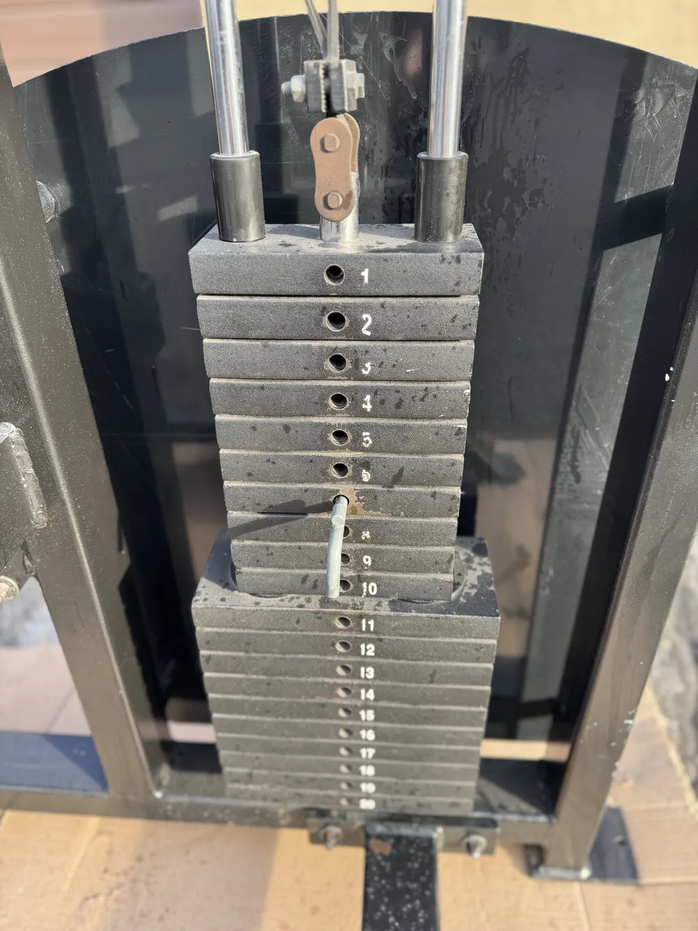 Strive Arm Curl thumbnail 3