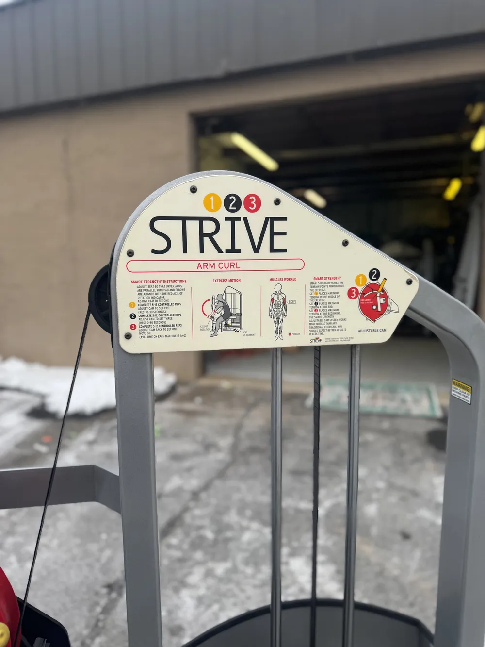 Strive Arm Curl thumbnail 2