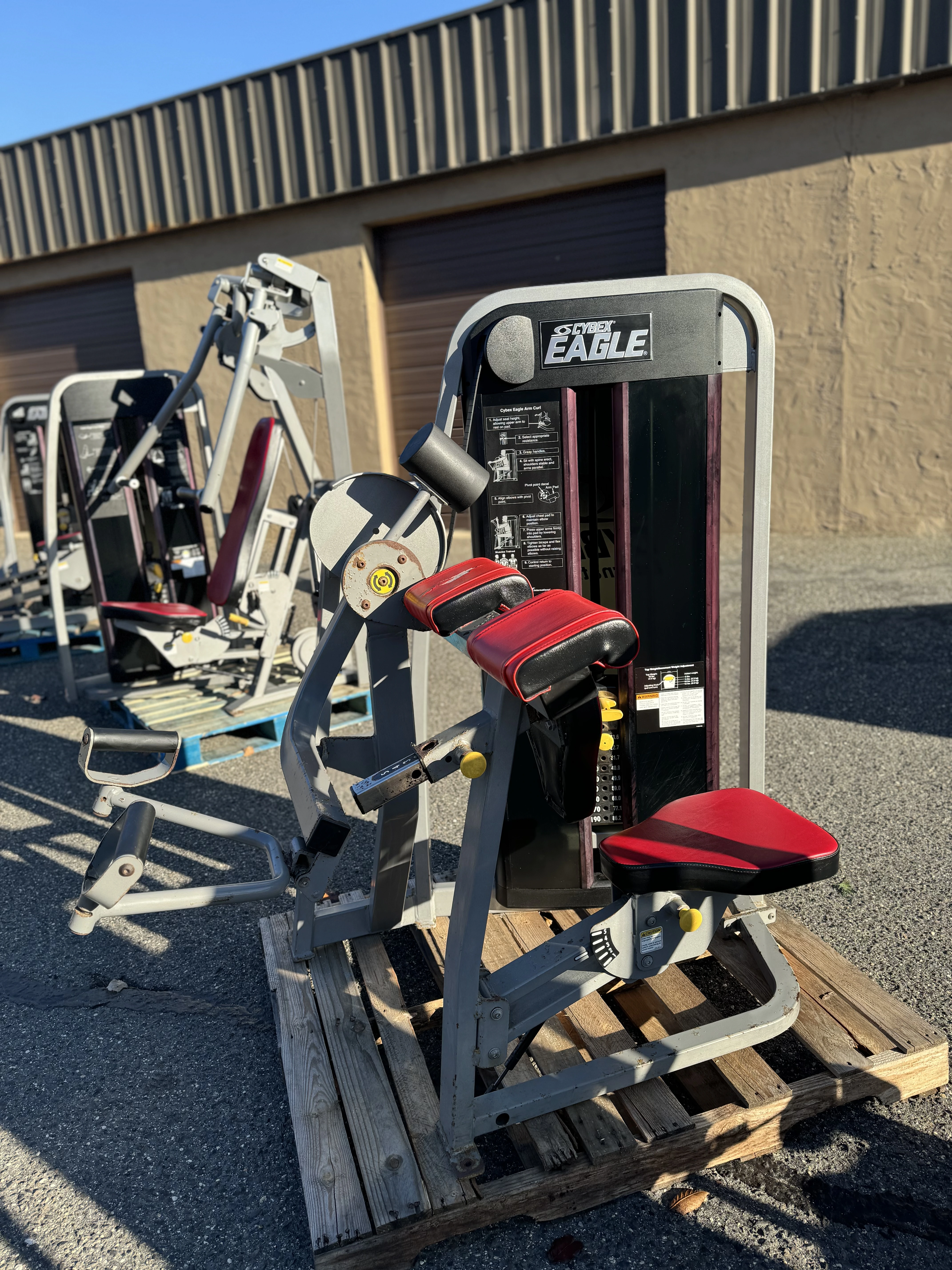 Cybex Eagle Bicep Curl