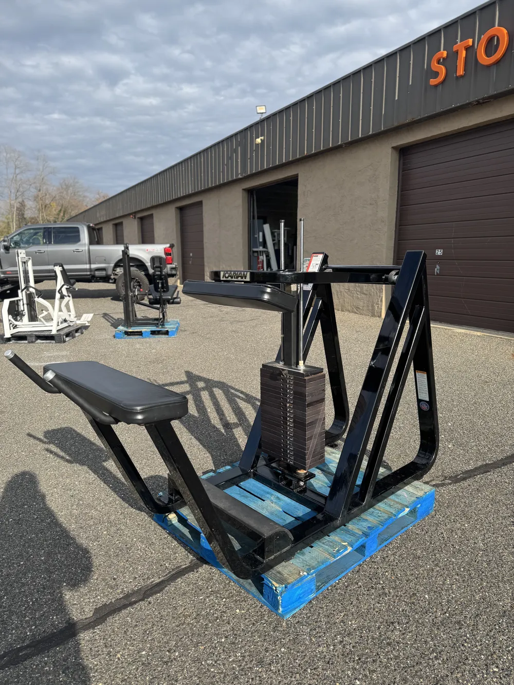 Icarian Donkey Calf thumbnail 3