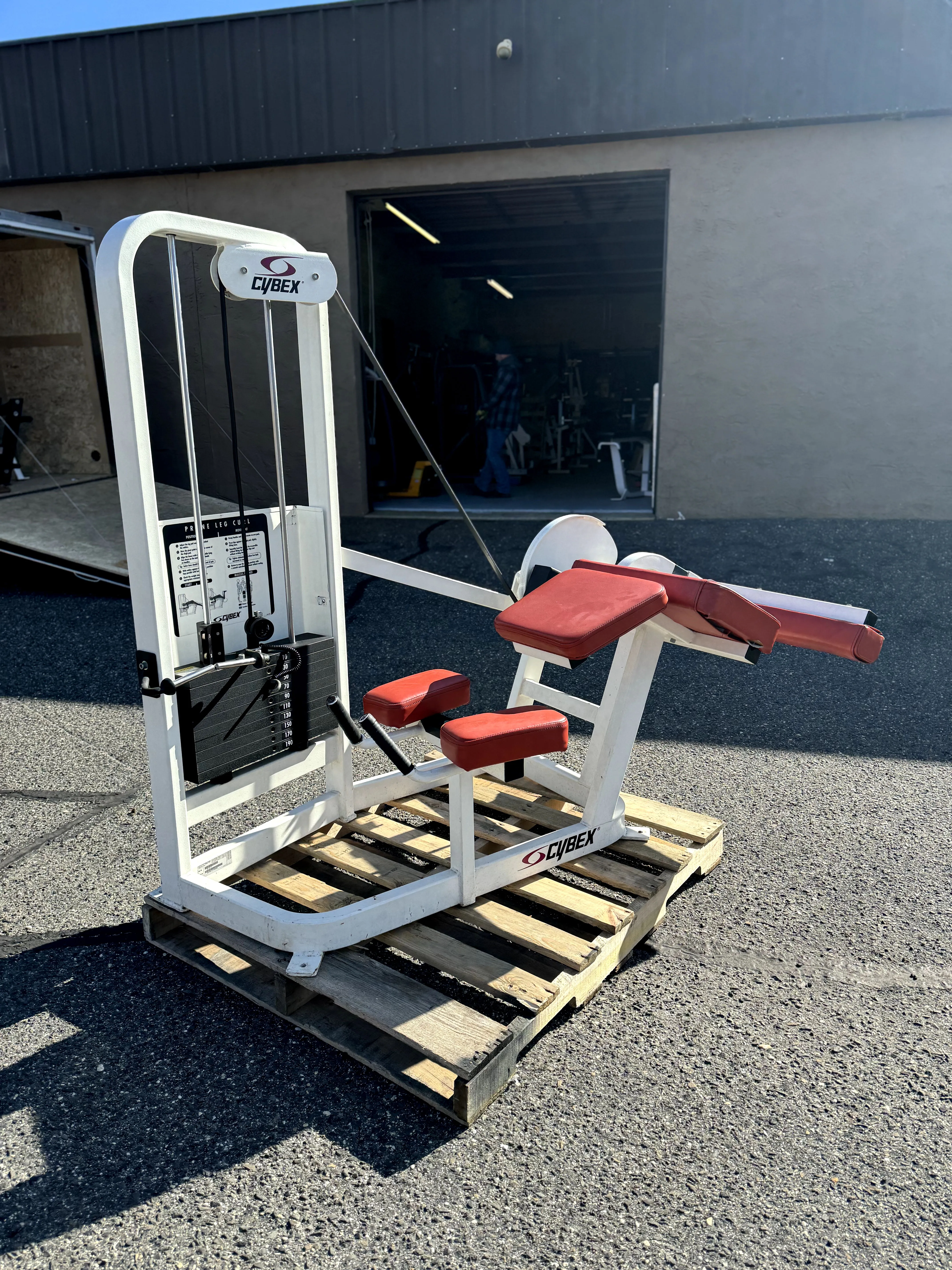 Cybex Prone Leg Curl thumbnail 4