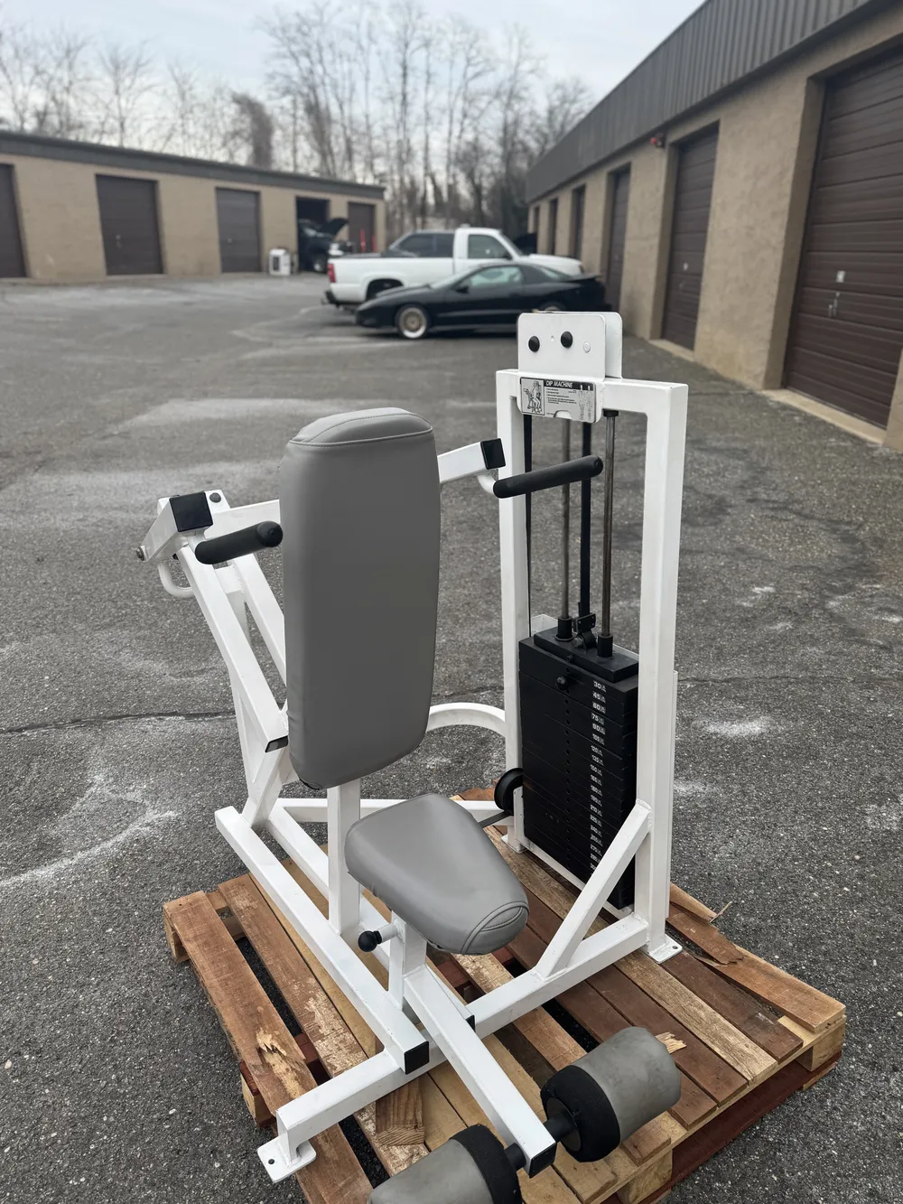 Flex Fitness Selectorized Dip