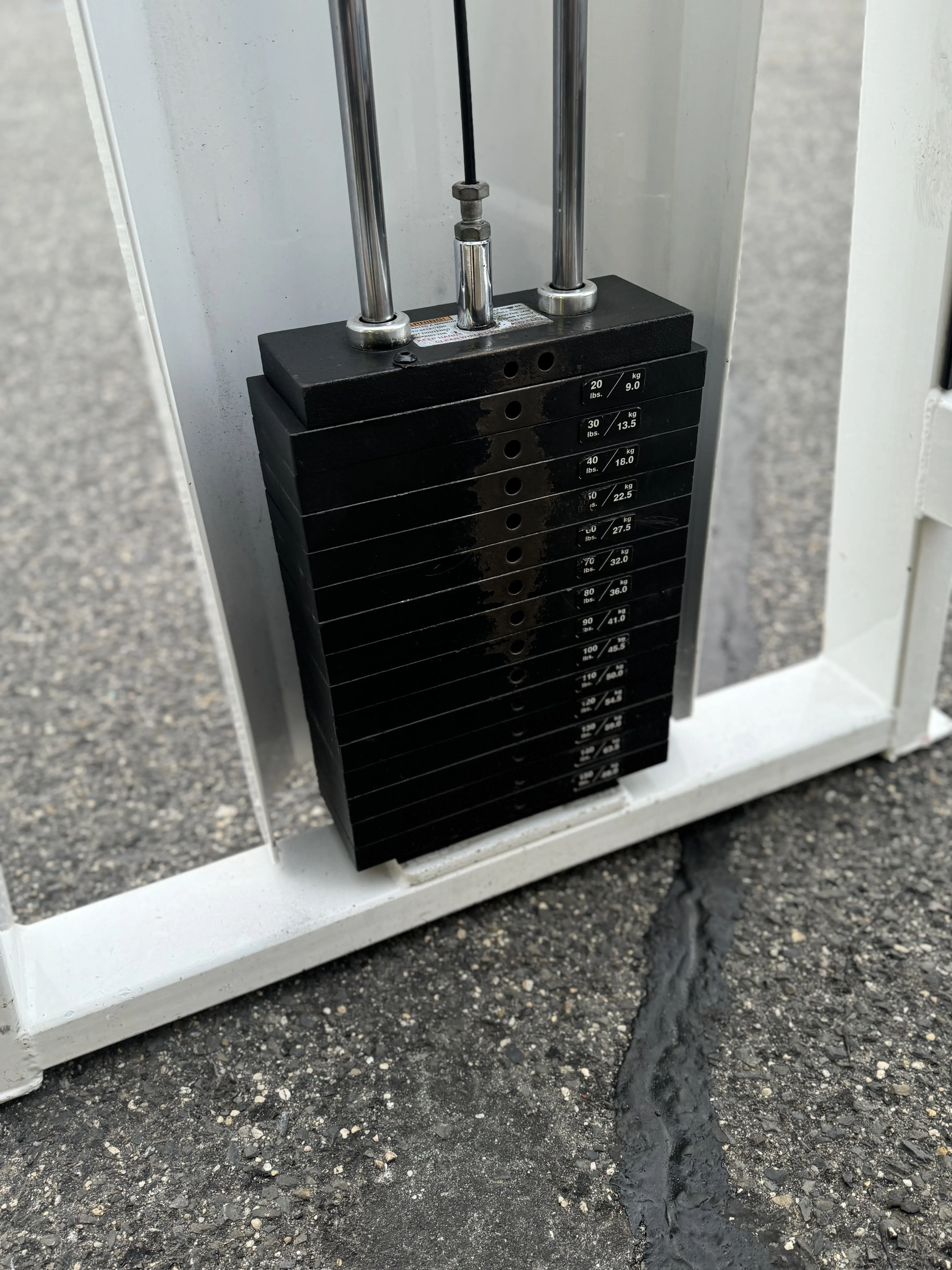 Icarian Overhead Tricep Extension thumbnail 2