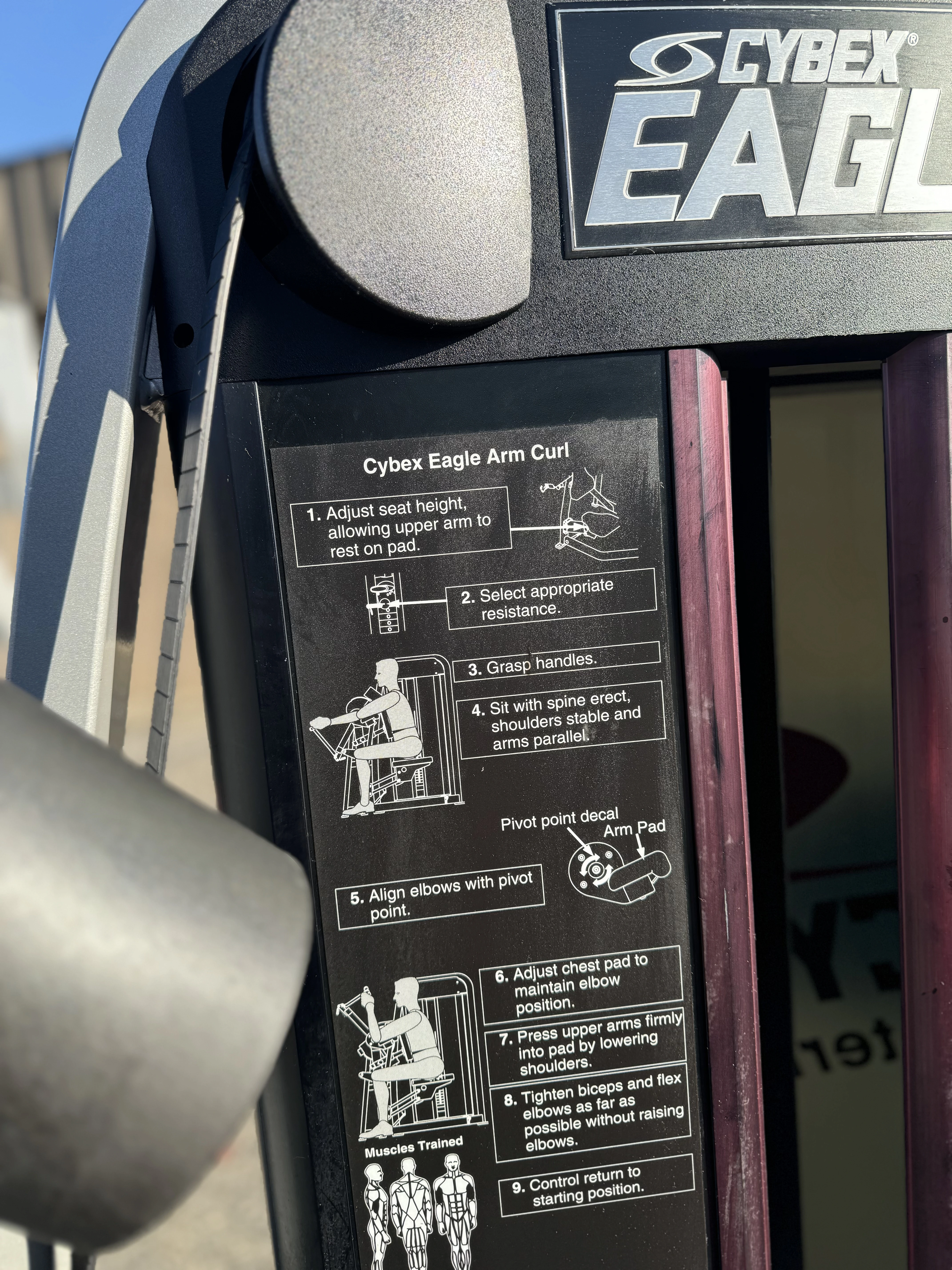 Cybex Eagle Bicep Curl thumbnail 2