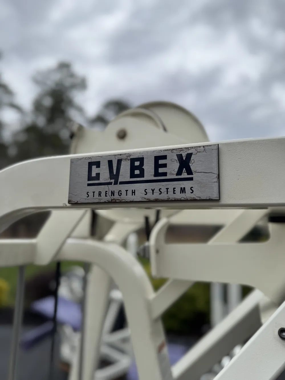 Cybex VR2 Rear Delt / Back Row thumbnail 2