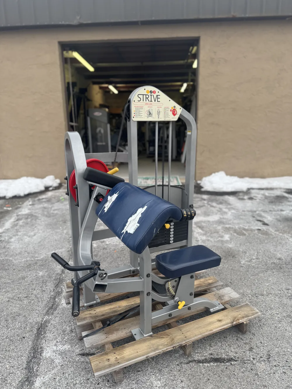 Strive Arm Curl