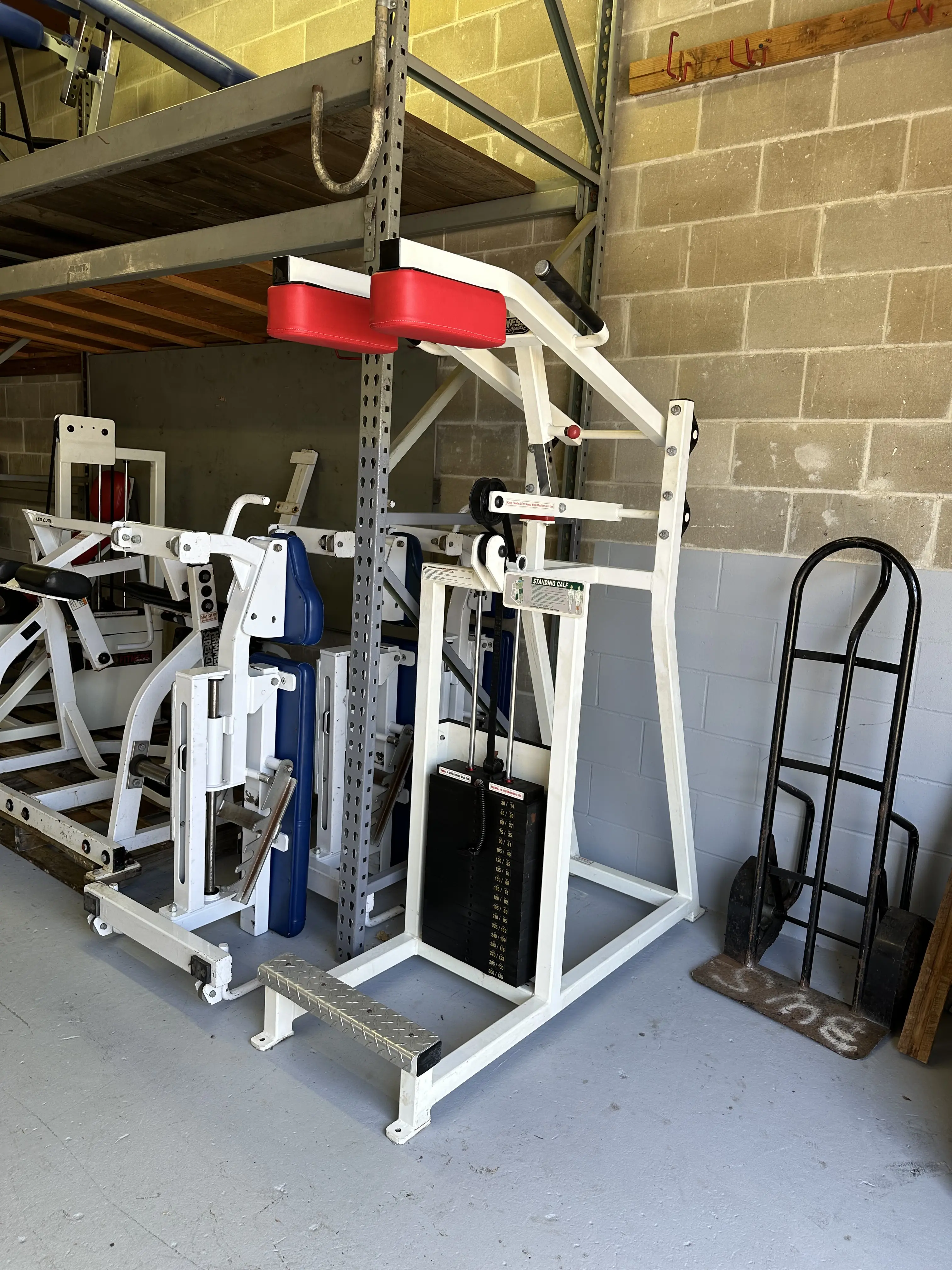 Flex Fitness Standing Calf Raise