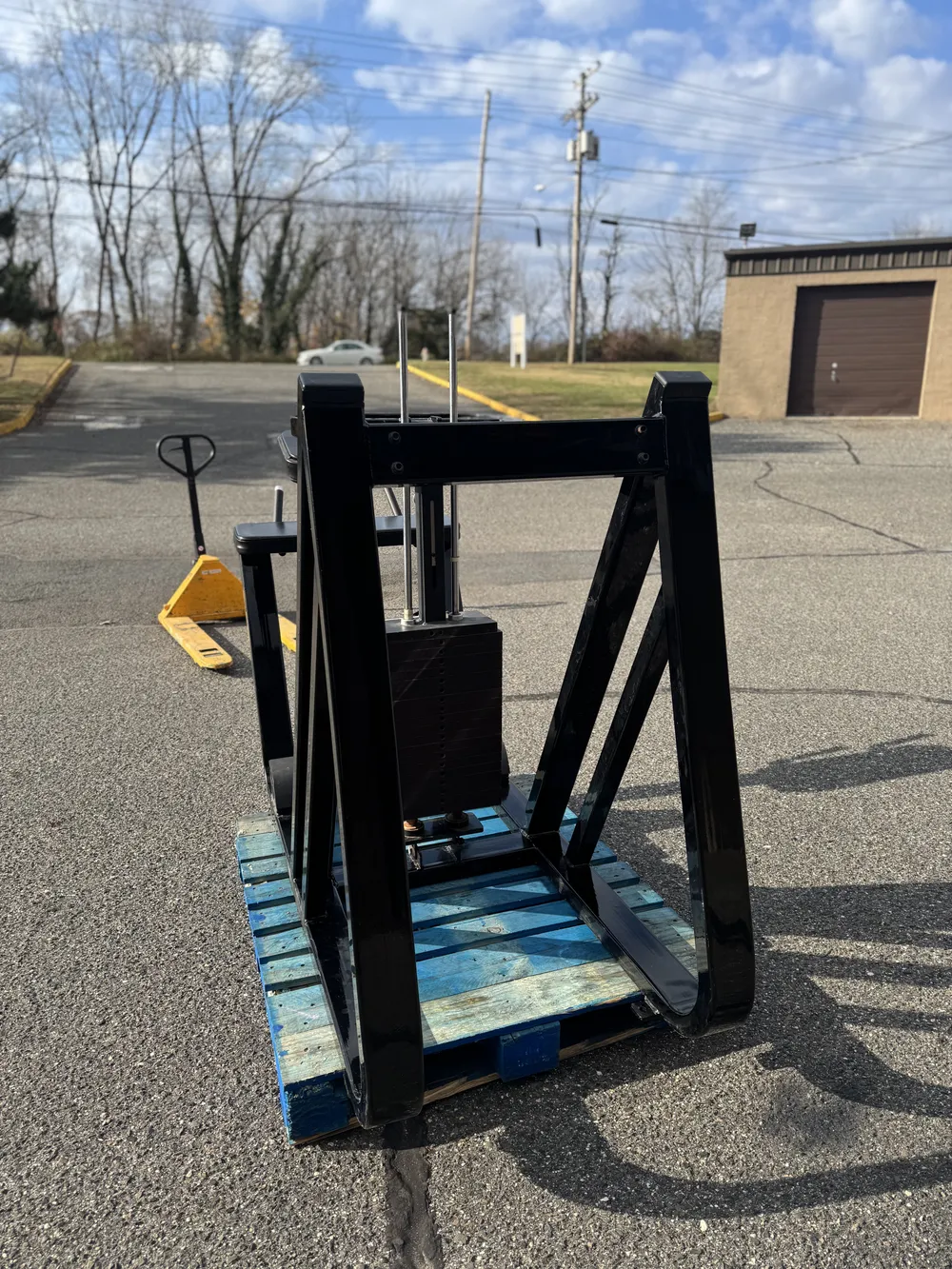 Icarian Donkey Calf thumbnail 4