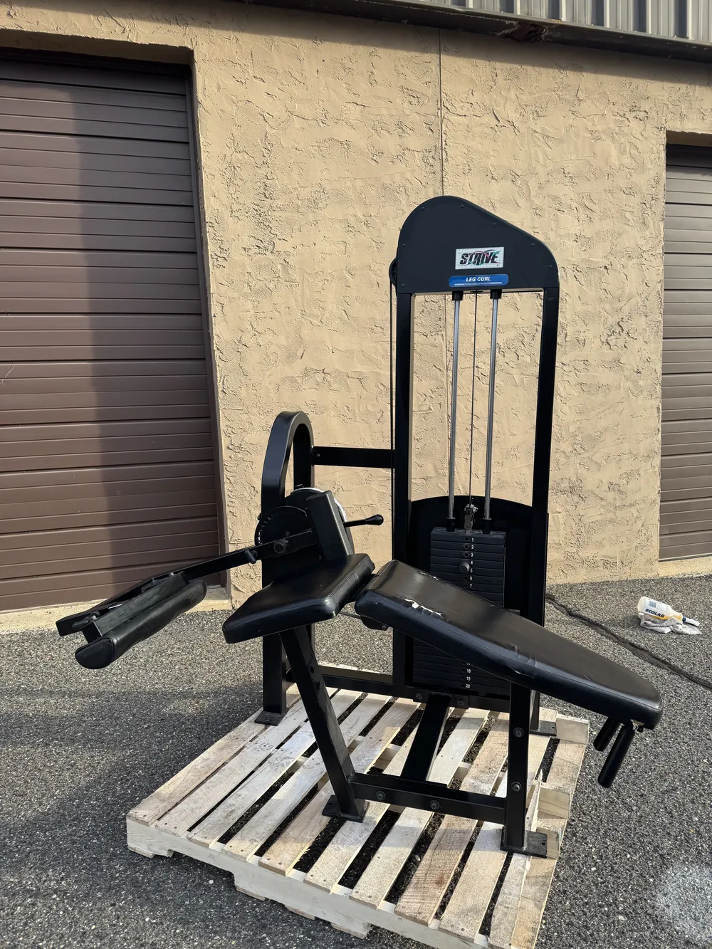 Strive Prone Leg Curl