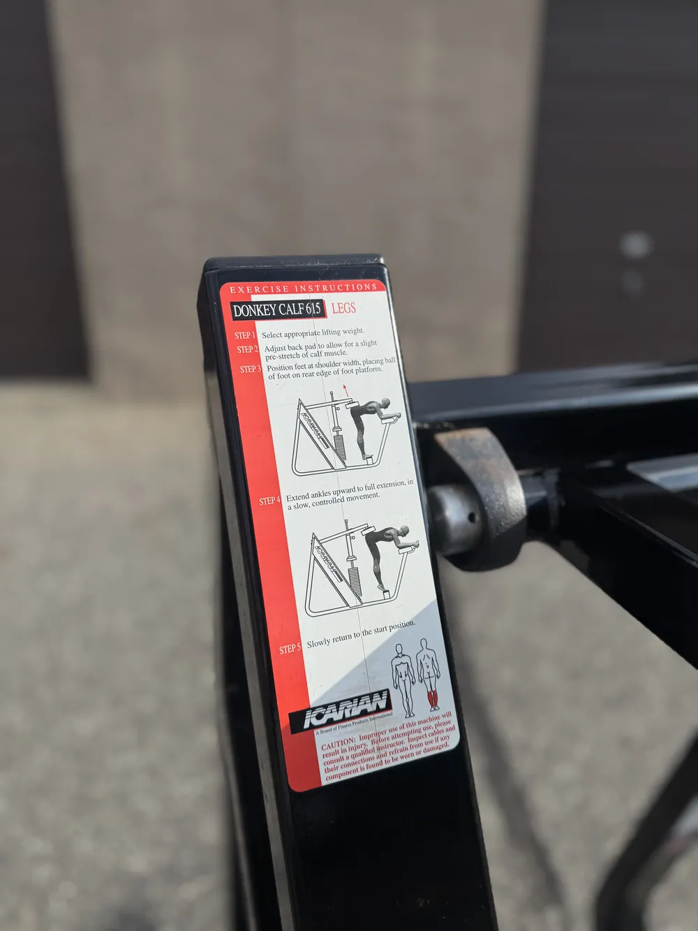 Icarian Donkey Calf thumbnail 2