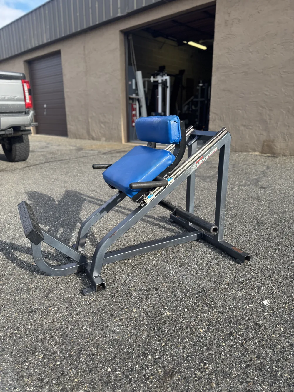 Magnum Badger Donkey Calf