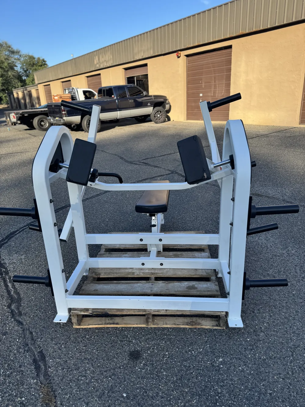 Strive Plate Loaded Flat Chest thumbnail 4