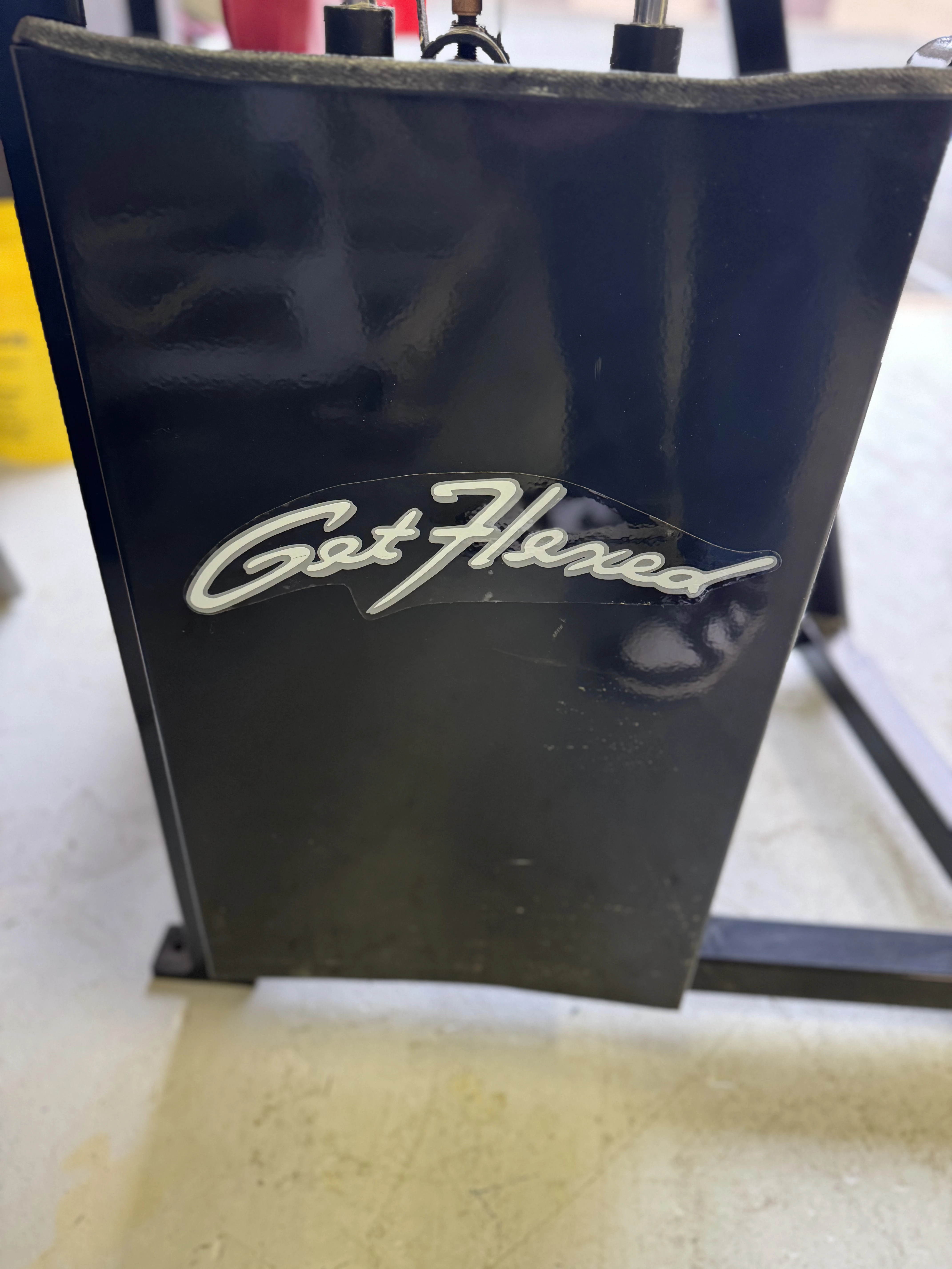 Flex Fitness Tricep Extension thumbnail 4