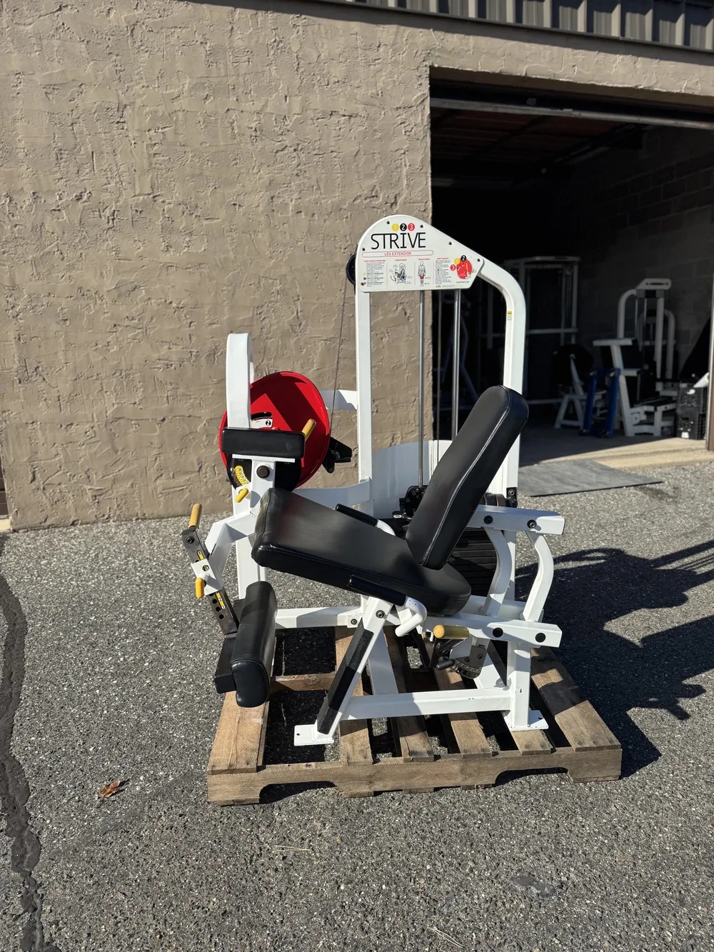 Strive Leg Extension