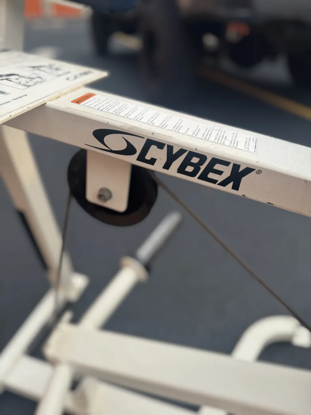 Cybex Kneeling Leg Curl thumbnail 3