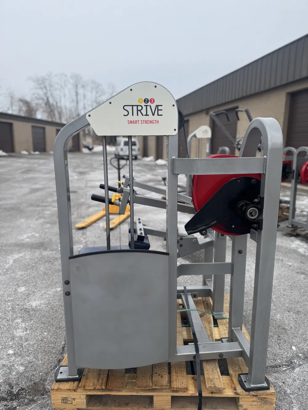 Strive Selectorized Dip thumbnail 4