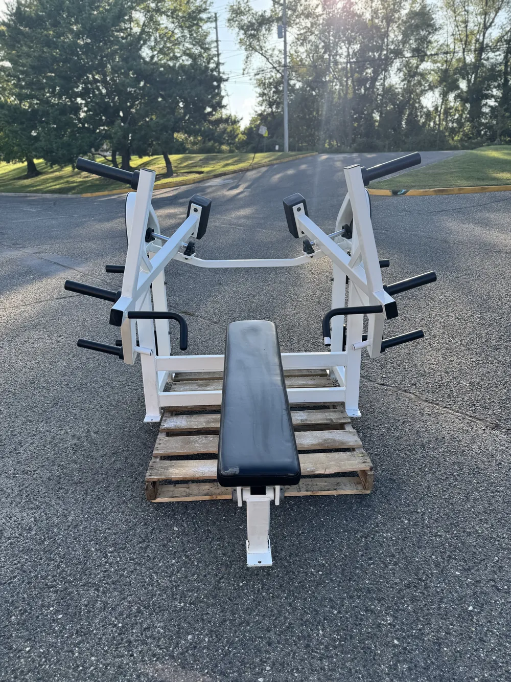 Strive Plate Loaded Flat Chest thumbnail 5