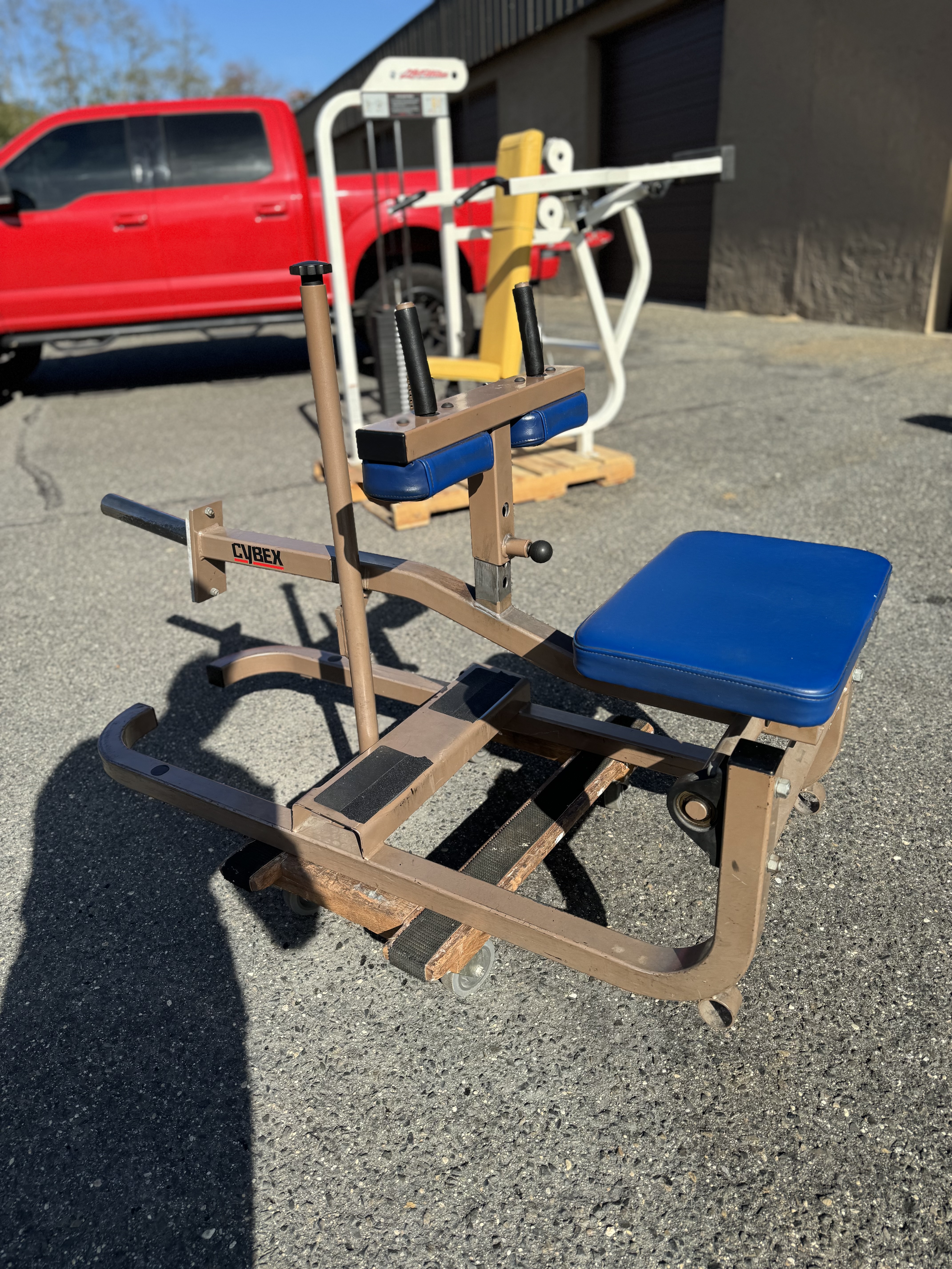 Cybex Eagle Calf Raise