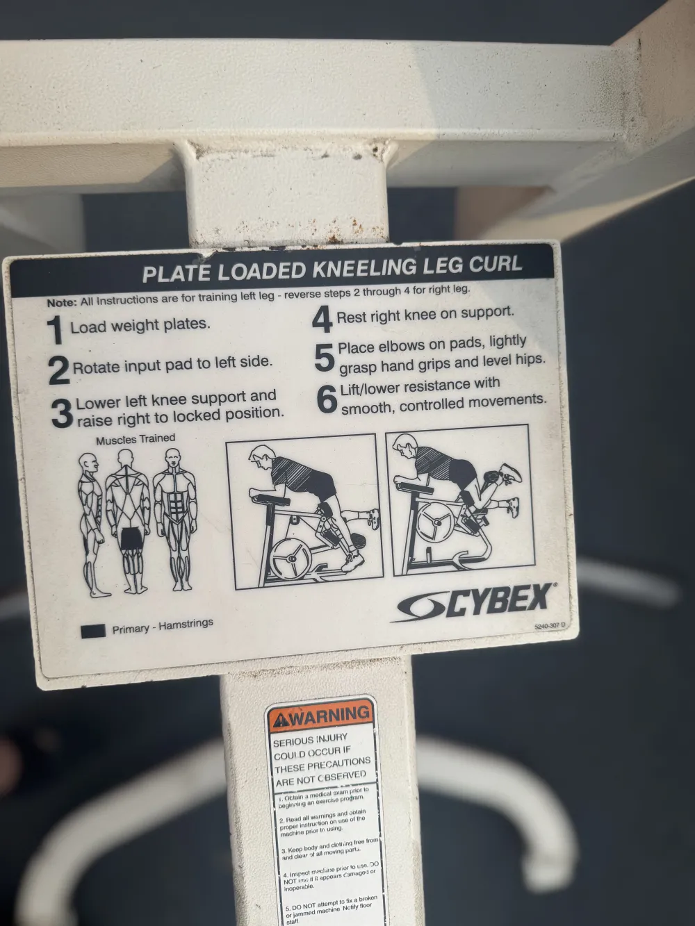 Cybex Kneeling Leg Curl thumbnail 4