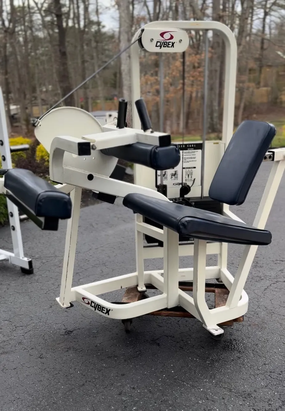 Cybex VR2 Leg Curl